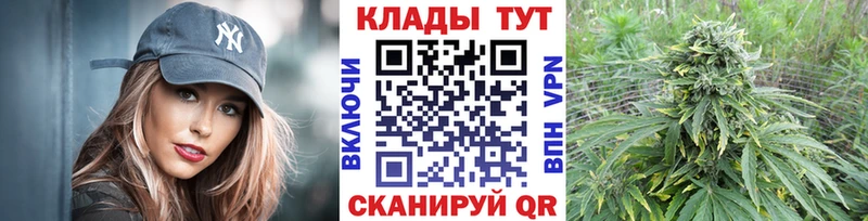 Сколько стоит Шилка COCAIN  ГАШ  СОЛЬ  АМФ  Каннабис 