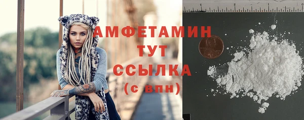 дживик Бородино