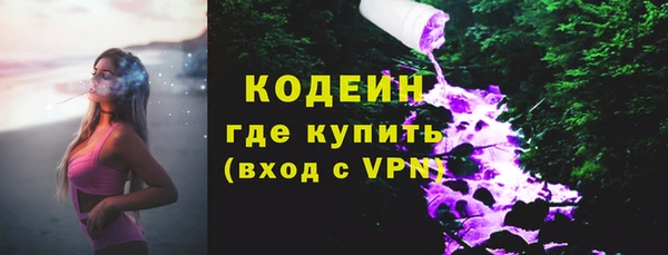 дживик Бородино