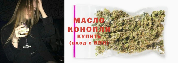 дживик Бородино