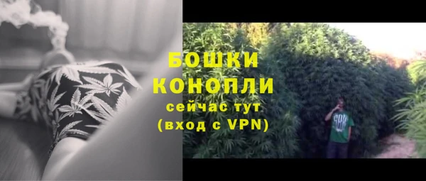 дживик Бородино