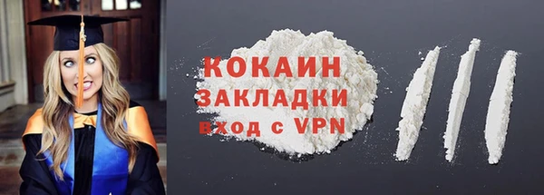 дживик Бородино