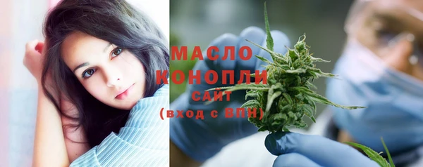 дживик Бородино