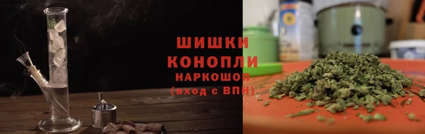 дживик Бородино
