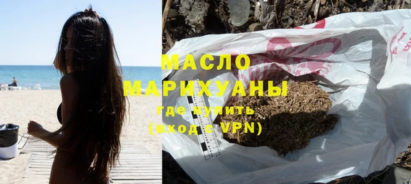 дживик Бородино