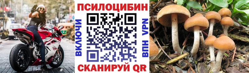 MEGA зеркало  Шилка  Галлюциногенные грибы GOLDEN TEACHER 